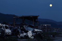 【お題日記】AV男優(女優)になってみたい？