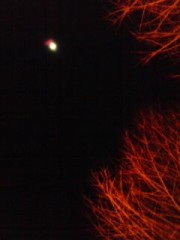 昨日はお題日記だったのに、全然違ったｗｗ、まっ、いつものことかｗｗ