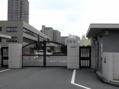 翼を手に入れる前　　～型に嵌める～