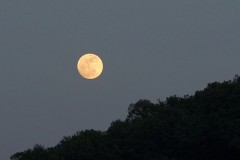 【お題日記】母の日のプレゼント、何にしますか？