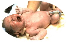 【非お題日記】何回も見る夢って…ないやんな？