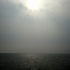 【お題日記】最近よく食べている物と飲んでいる物