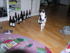 また削除されとるなぁ。。。