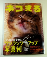 【非お題日記】叶わぬ恋、つらい恋のエピソードかも知れへんけど違う気がするｗ