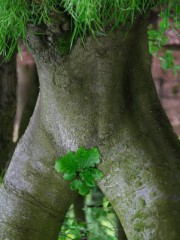 【非 お題日記】恋にならないお友達…ってか、トモダチ以前かもなｗｗ