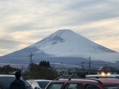 【お題日記】春と聞くと何を思い浮かべますか？