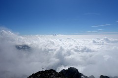 【お題日記】今年の夏いっぱい食べたもの