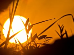 【お題日記】冬の醍醐味といえば？