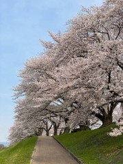 その2コロナウイルス【お題日記】好きな家事ある？