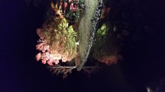 携帯壊れました機種変更