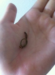 【お題日記】舌が長い人に魅力は感じる？