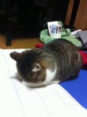 【お題日記】胸キュンの仕草は？