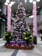 【お題日記】インスタやってますか？