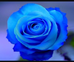 【お題日記】一番歌がうまいと思う歌手はだれ？