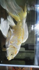 最近、体調悪くて～会社から病院行ってちゃんと見て