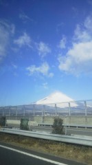 【お題日記】マンション派？戸建て派？