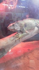 【お題日記】着なくなった服、どうしてる？