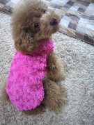 あられちゃんの紹介…