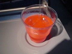 昨日帰ってきました