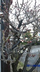 春が近いのに…