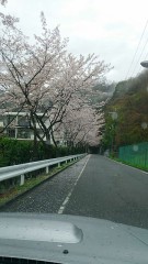 花見したかったのに～