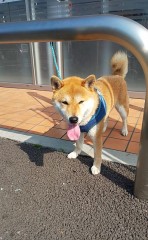 【お題日記】デートはどこへ行きたい？