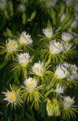 有名なんですね！