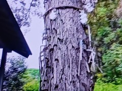 人の怨み？はオバケより怖いよ！