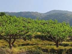 【お題日記】ずっと応援してたけどファン辞めた事は？