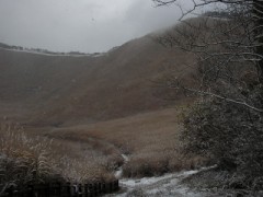 ススキを見に行ってきました～白の競演～