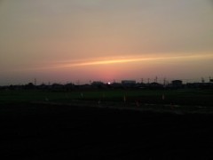 やっとこさの更新