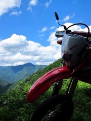 もういいから外走って来いよ(’д’o)