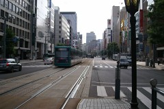 二本のオウニンポウヤ