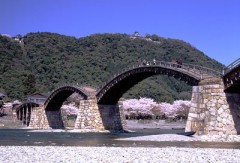 きんたいきょう