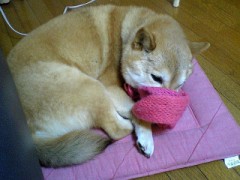 かわく、はなが....