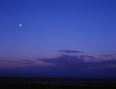 「逢いたい…」と思う気持ちは そっと　今、願いになる