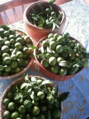 甘酸っぱい気持ち？