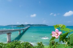 寒いのより暑い方が好き？