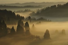 「夕涼みスポット」ってどこですか？