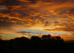 9月はこんなことしたーい！