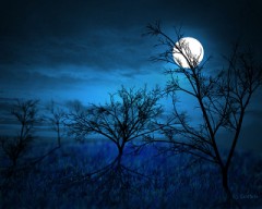真夜中に...