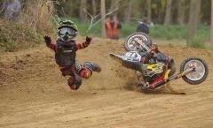 ちっちゃいこ..