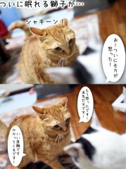 牙むき出したら 放し飼いにして 眠れる獅子を...