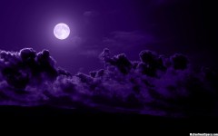 月が綺麗ですね