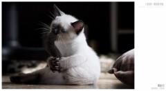 恋愛で一番楽しい時期ってどのへん？