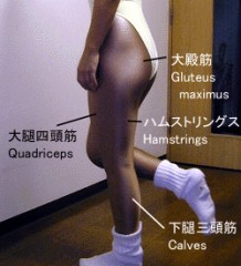 はむはむ......
