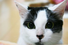 くりくり～