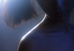 しょるだーらいん