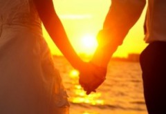 貴方のその手を....