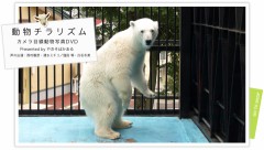 むっはー( ﾟ∀ﾟ)=3